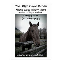 Brown Horse Photographic Portrait Business Cards