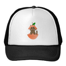 Brown Kitty In A Peach Mesh Hat