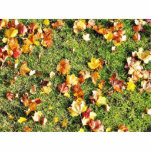 Brown Leaves Laying On The Grass Photo Cutout