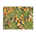 Brown Leaves Laying On The Grass Postcards