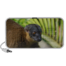 Brown Lemur Speakers