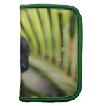Brown Lemur Wallet Folio Folio Planners