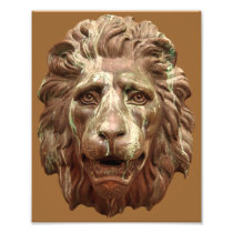 Brown Lion Photo