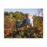Brown Mare flowers Postcards