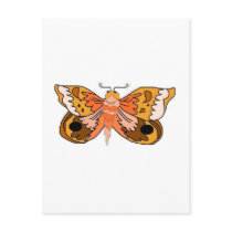 Brown Moth