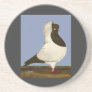 Brown Nun Pigeon