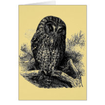 Brown Owl Sleeping Greeting Card