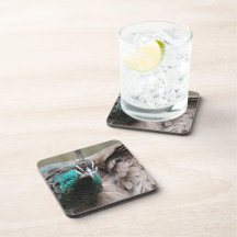 Brown Peacock  Set of Six Coasters
