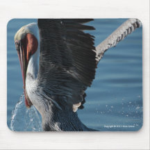 Brown Pelican: extreme close up 3 Mousepad
