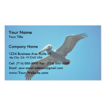 Brown pelican in flight business card templates