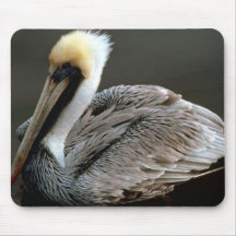 Brown Pelican Mouse Pad