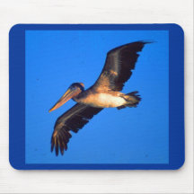 Brown Pelican (Pelecanus occidentalis) Mouse Pad