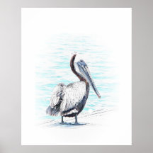 Brown Pelican Print