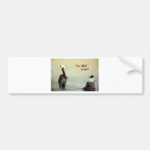 Brown Pelican & Seagull Bumper Stickers