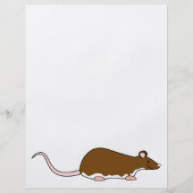 Brown Pet Rat. Berkshire, White Belly. Full Color Flyer