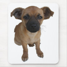Brown Puppy Mouse Pads