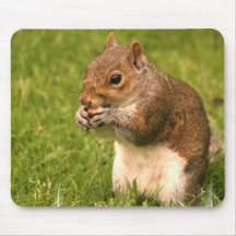 Brown Squirrel Mouse Pad