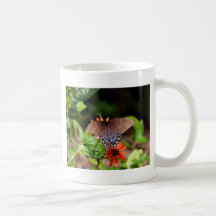 Brown Swallowtail Butterfly Mug