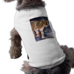 Brown Swiss Calf Pet Clothing