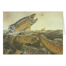 Brown Trout Card