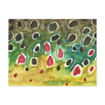Brown Trout Fish Postcards