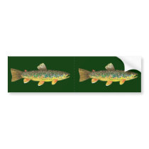 Brown Trout Fishing Bumper Sticker