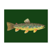 Brown Trout Fishing Postcards