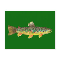 Brown Trout Fishing Post Cards