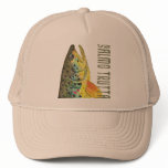 Brown Trout Ichthyology, Fishing, Fly Fishing