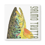 Brown Trout Ichthyology, Fishing, Fly Fishing Magnets