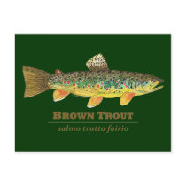 Brown Trout Latin Ichthyology Post Card