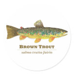Brown Trout Latin Ichthyology Stickers