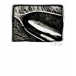 Brown Trout t-shirts