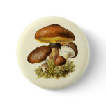 Brown Vintage Mushroom Button