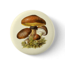 Brown Vintage Mushroom Button