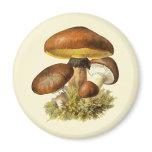 Brown Vintage Mushroom Fridge Magnet