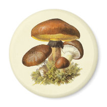 Brown Vintage Mushroom Fridge Magnet