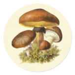 Brown Vintage Mushroom Sticker
