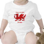 Brown Welsh Dragon CAB T-shirts