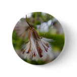 Brown & White Seedpod Pinback Buttons