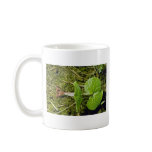 Brown Wild Ginger (Asarum Canadense) flowers Mugs