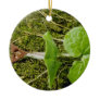 Brown Wild Ginger (Asarum Canadense) flowers Christmas Ornament