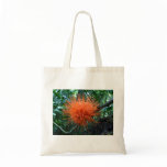 Brownea Blossom