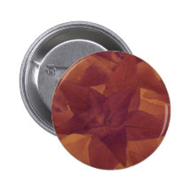 brownleaf2 pins