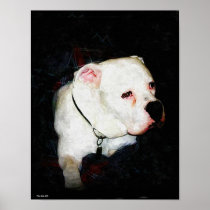Bruce Posters