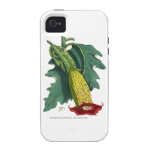 Brugmansia Bi-colour Vibe iPhone 4 Case