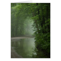 Brume dans la forêt cartes