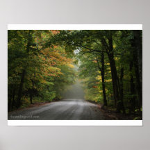 Brume dans la forêt posters