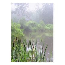 Brume de matin sur l'ATC d'étang Carte De Visite