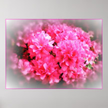 Brume rose posters
